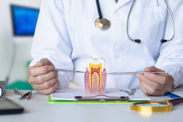 Best Dentist for Dental Trauma  in White Oak, PA